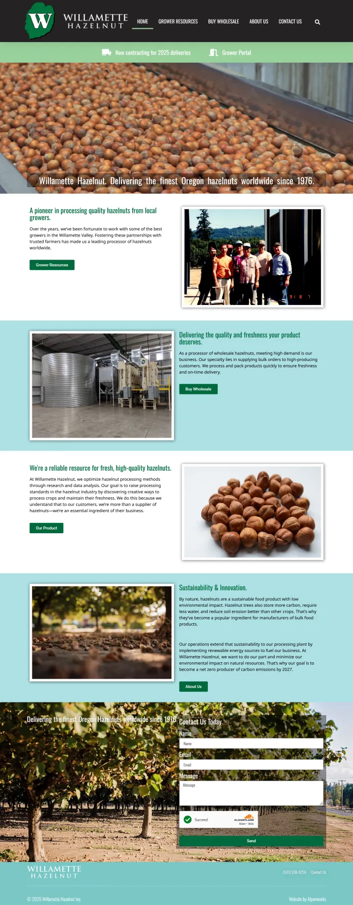 Willamette-Hazelnut-3